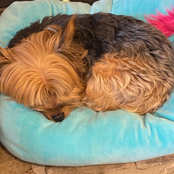 Meet your Posher, Kristy - Picture 1 of 1